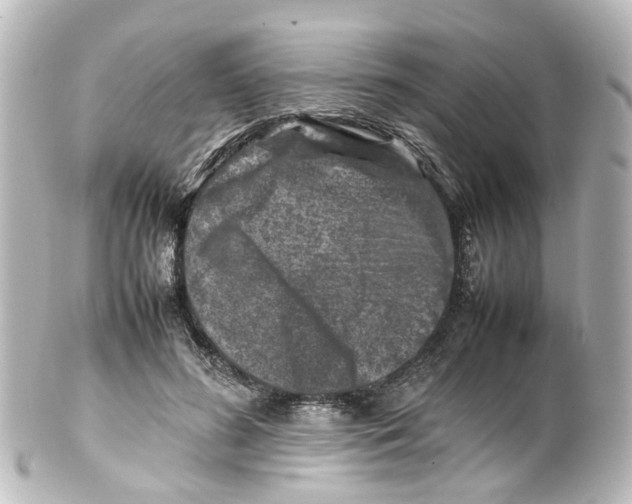 X0000100230596200806271752