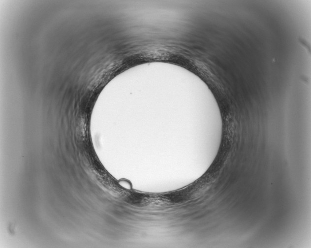 X0000100230597200806271752