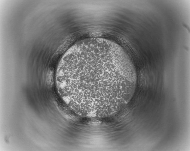 X0000100230598200806271752