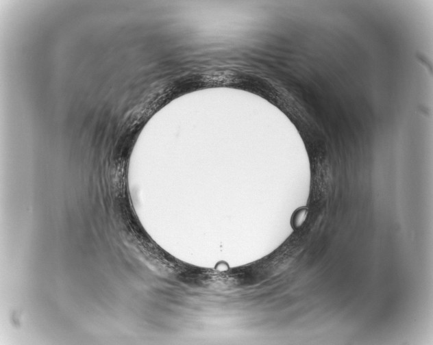 X0000100230601200806271752