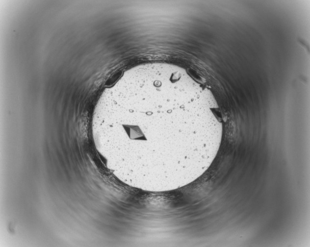 X0000100230604200806271752