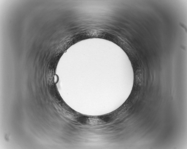 X0000100230605200806271752