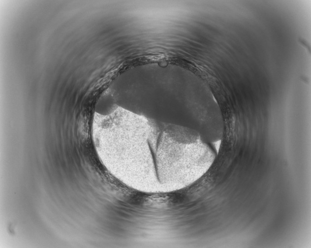 X0000100230606200806271752