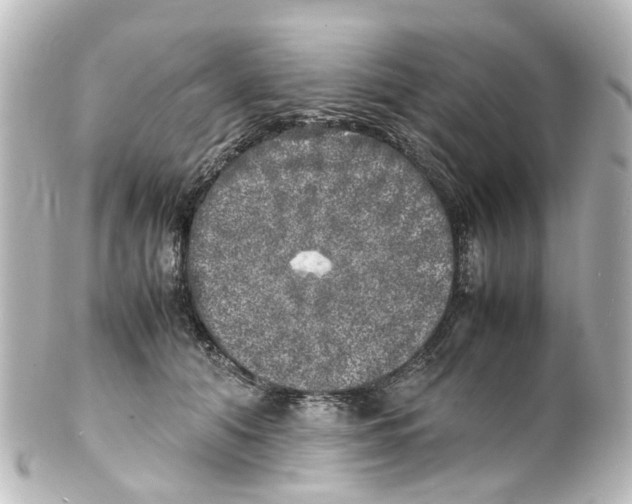 X0000100230608200806271752