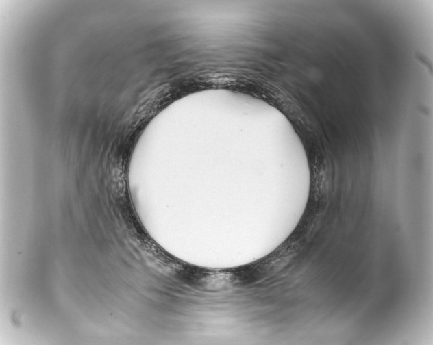 X0000100230609200806271752