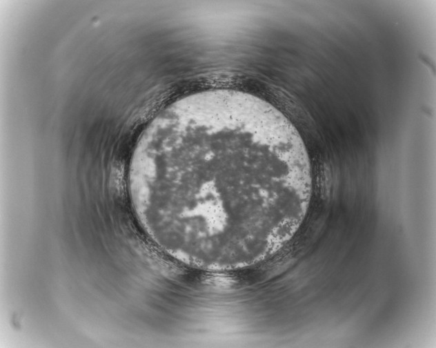 X0000100230610200806271752