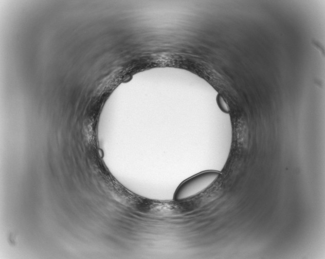 X0000100230611200806271752