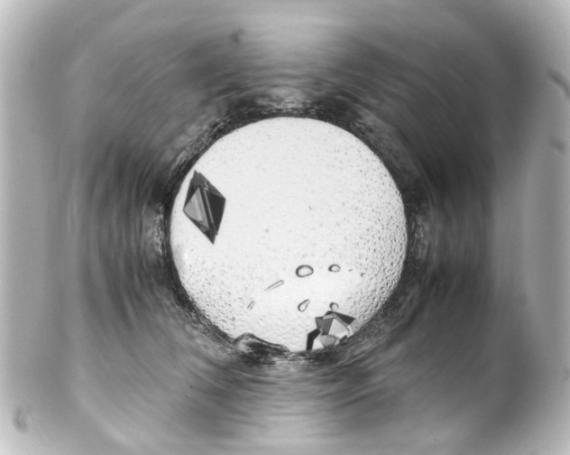 X0000100230612200806271752