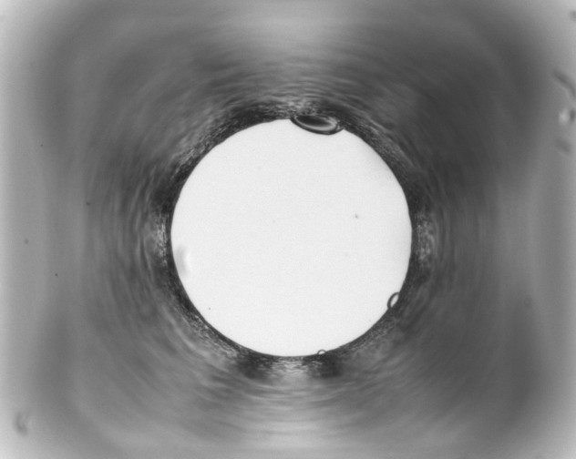 X0000100230613200806271752