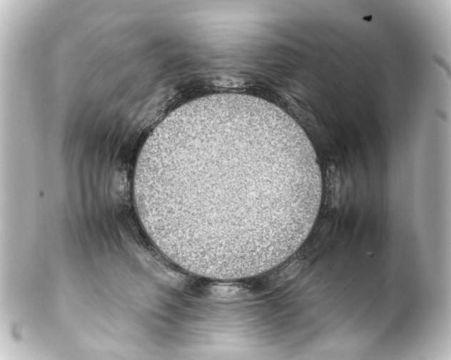 X0000100230614200806271752