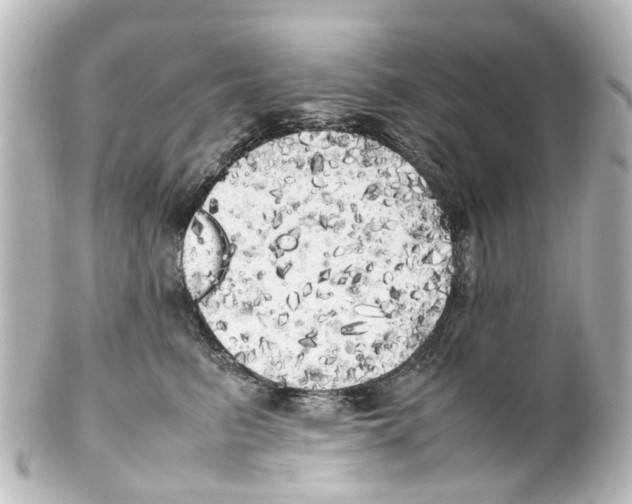 X0000100230615200806271752