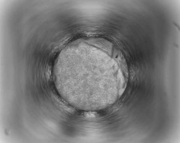 X0000100230618200806271752