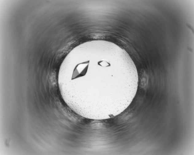 X0000100230620200806271751