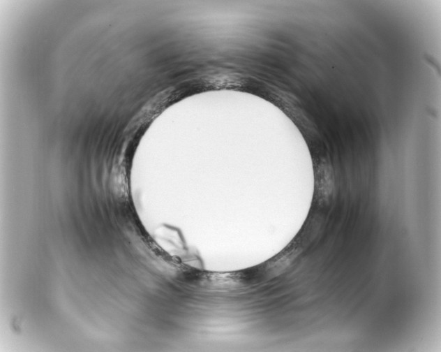 X0000100230622200806271751