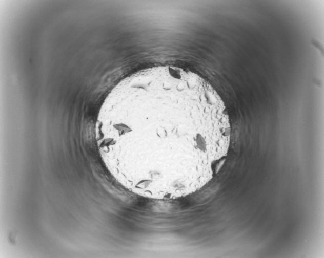 X0000100230623200806271751