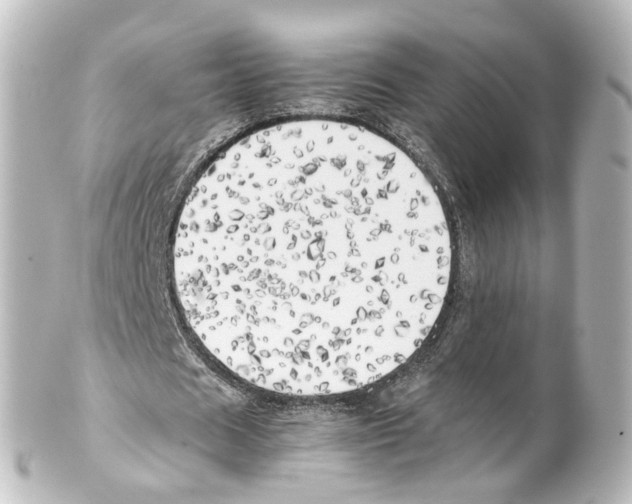X0000100230625200806271751