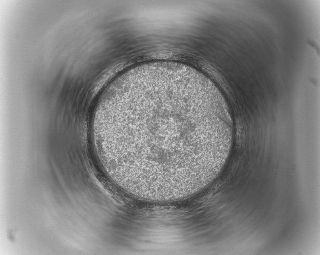 X0000100230626200806271751