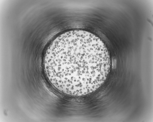X0000100230627200806271751