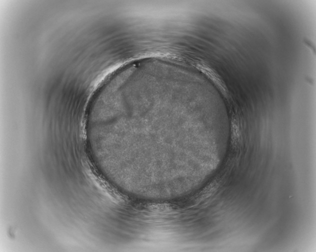 X0000100230628200806271751