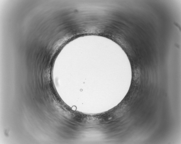 X0000100230632200806271751
