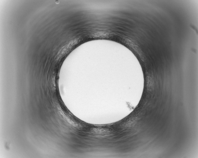 X0000100230633200806271751