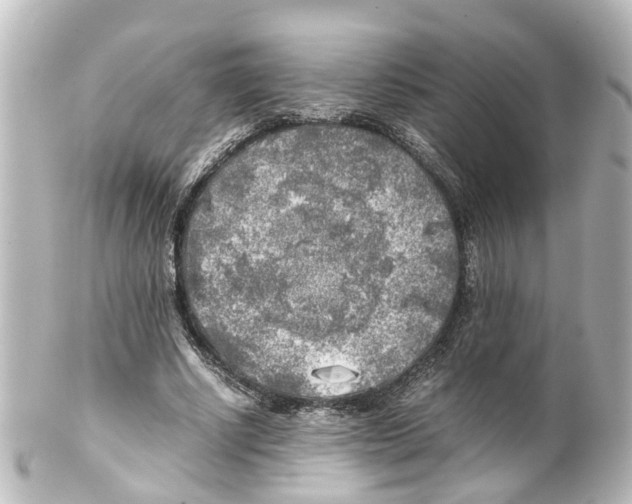 X0000100230634200806271751