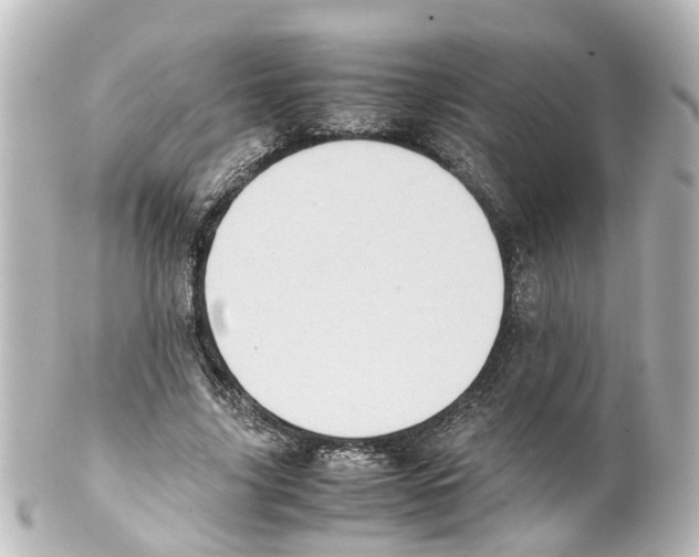 X0000100230635200806271751