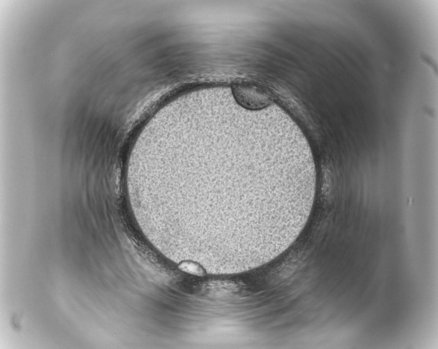 X0000100230636200806271751
