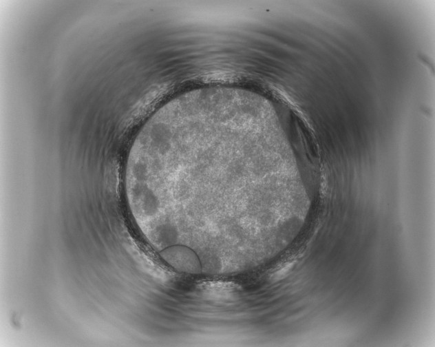 X0000100230637200806271751