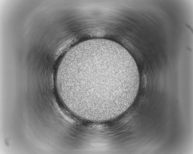 X0000100230638200806271751