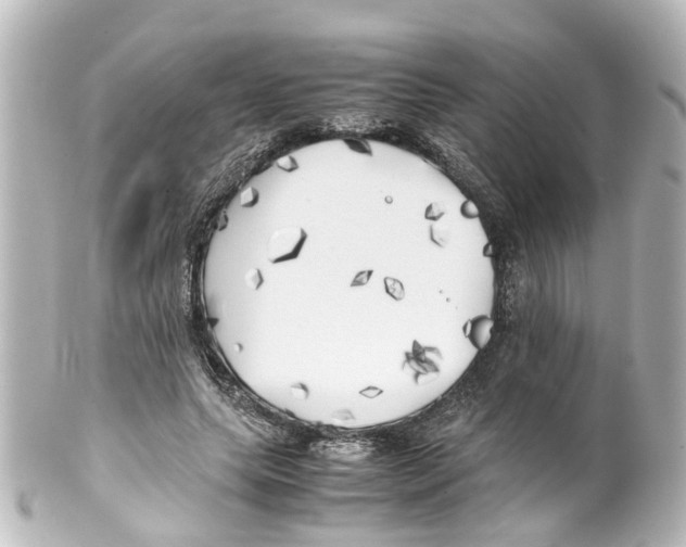 X0000100230639200806271751