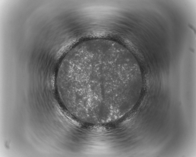 X0000100230640200806271751