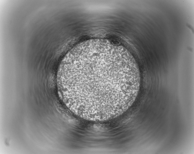 X0000100230641200806271751
