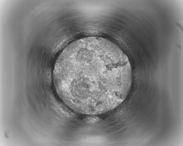 X0000100230642200806271751