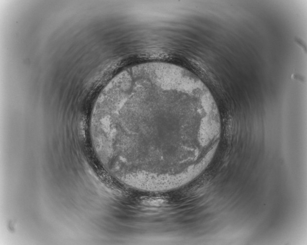 X0000100230643200806271751