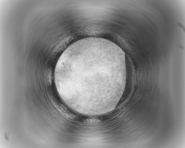 X0000100230644200806271751