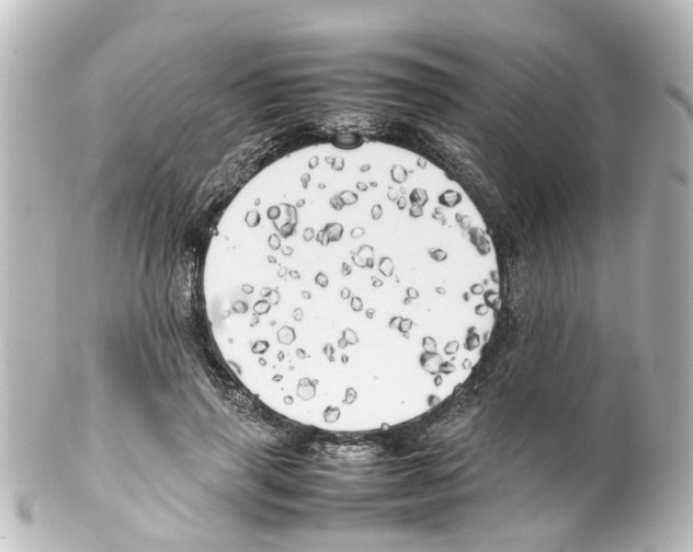 X0000100230645200806271751