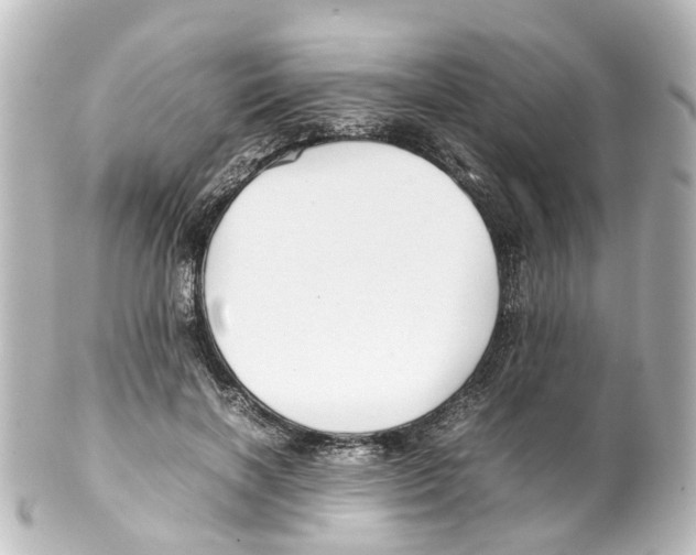 X0000100230646200806271751