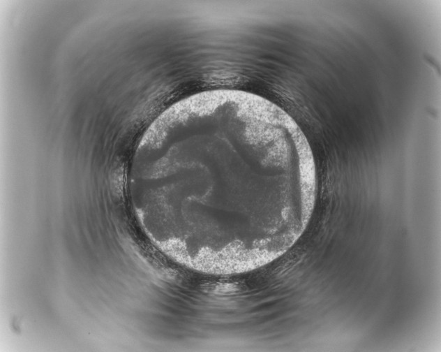 X0000100230647200806271751