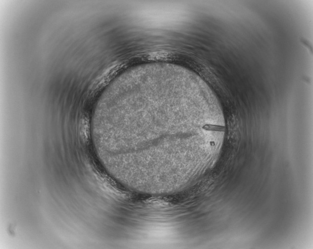 X0000100230648200806271751