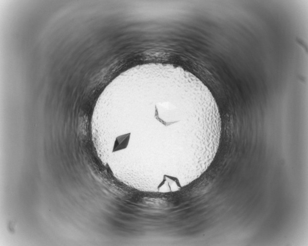 X0000100230649200806271751