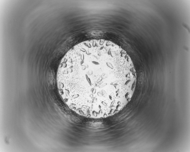 X0000100230651200806271751
