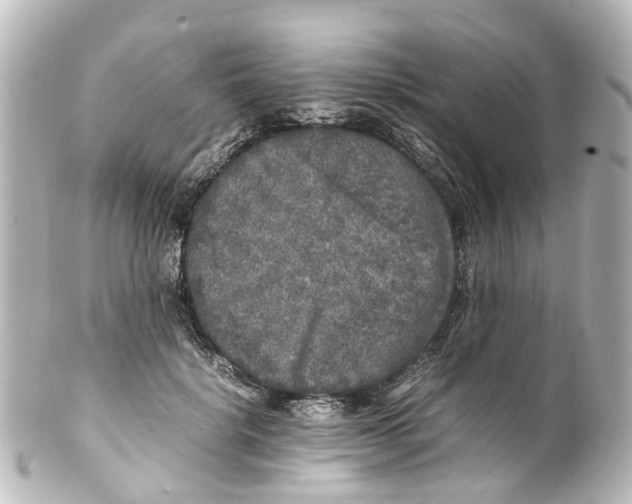 X0000100230652200806271751