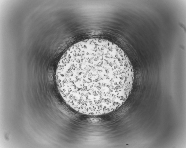 X0000100230654200806271751