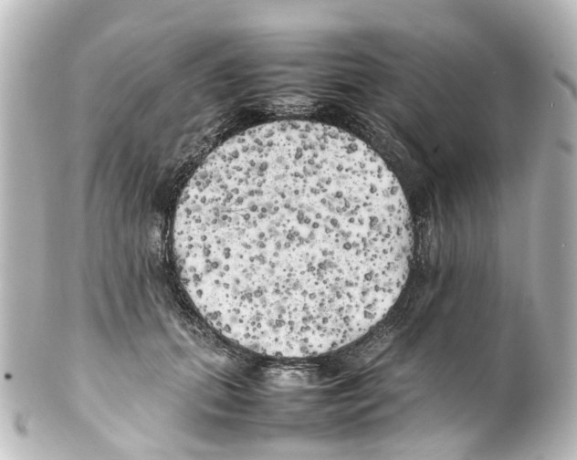 X0000100230655200806271751