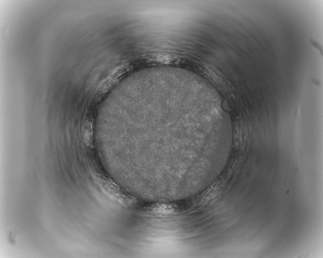 X0000100230656200806271751