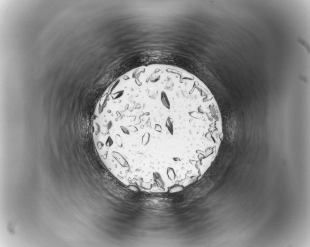 X0000100230657200806271751