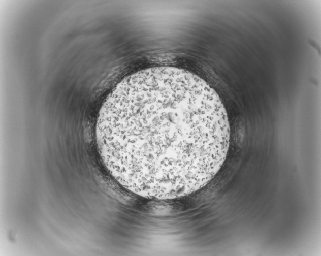 X0000100230658200806271751