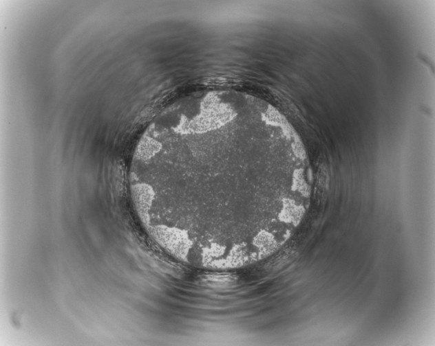 X0000100230659200806271751