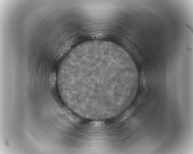 X0000100230660200806271751